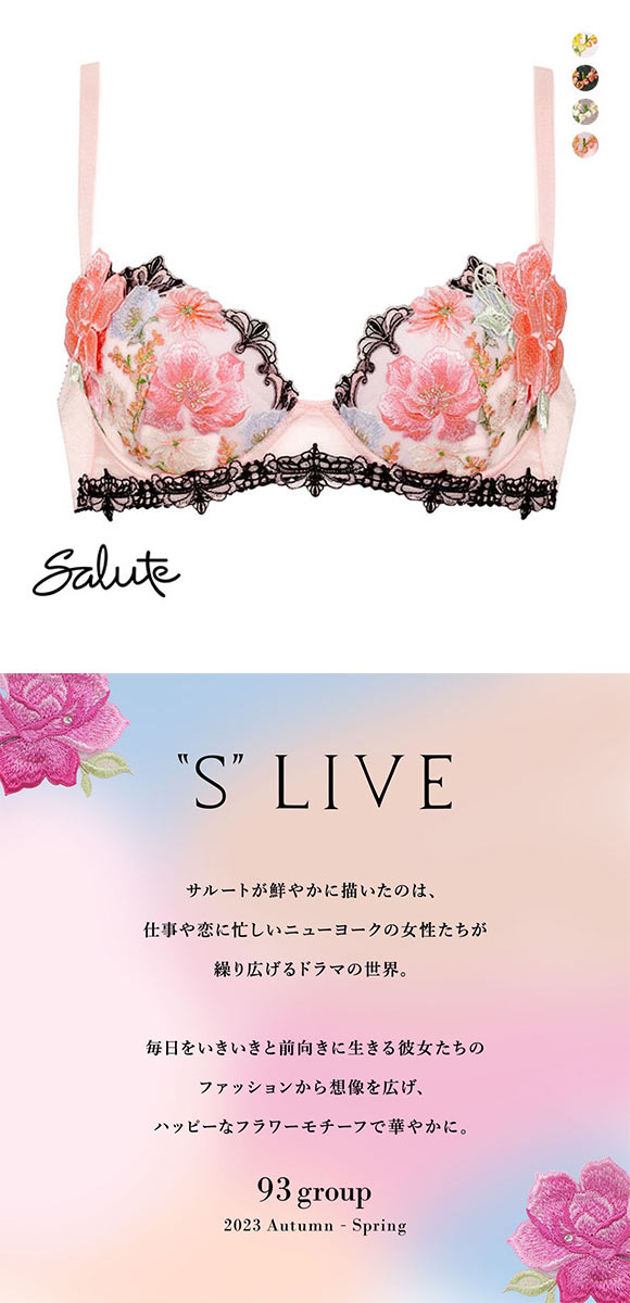 ワコール Wacoal サルート Salute 23AW 93G BTJ493 P-UP ブラジャー BC プッシュアップ 単品 谷間 フェア