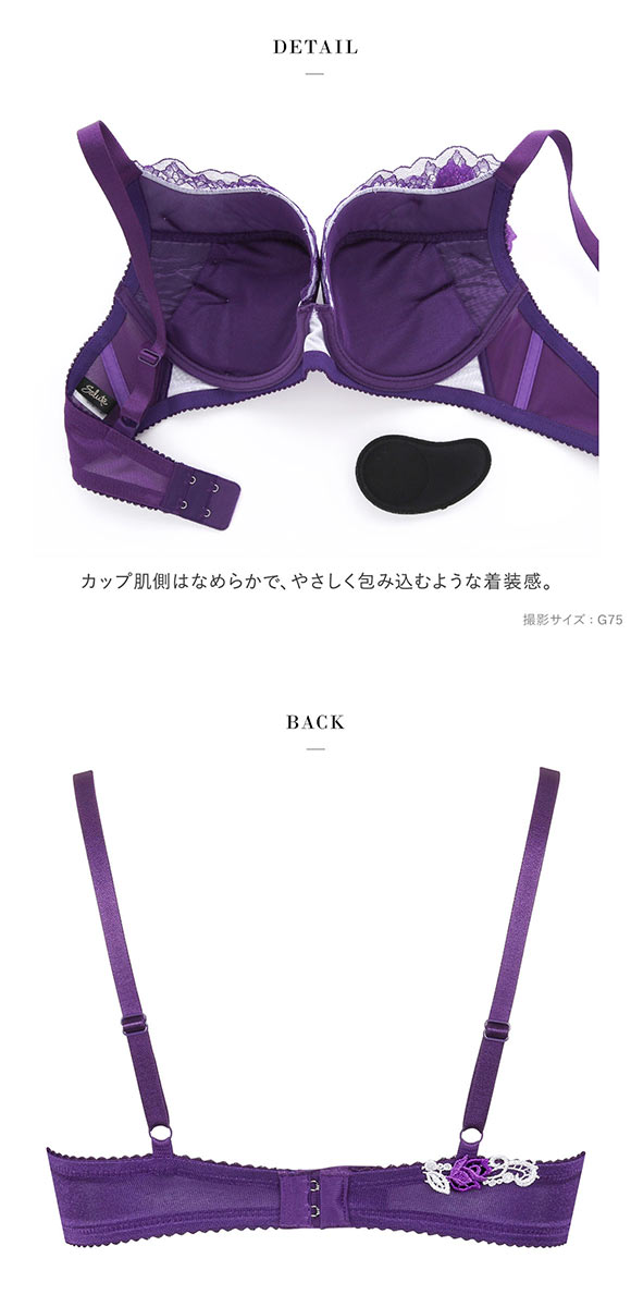 ワコール Wacoal サルート Salute 23AW 95G BTJ495 VIVA LINE ブラジャー G ビバライン 谷間 単品 ブルーム