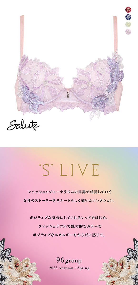 ワコール Wacoal サルート Salute 23AW 96G BTJ496 P-UP プッシュアップ ブラジャー GHI 谷間 単品 シーズン