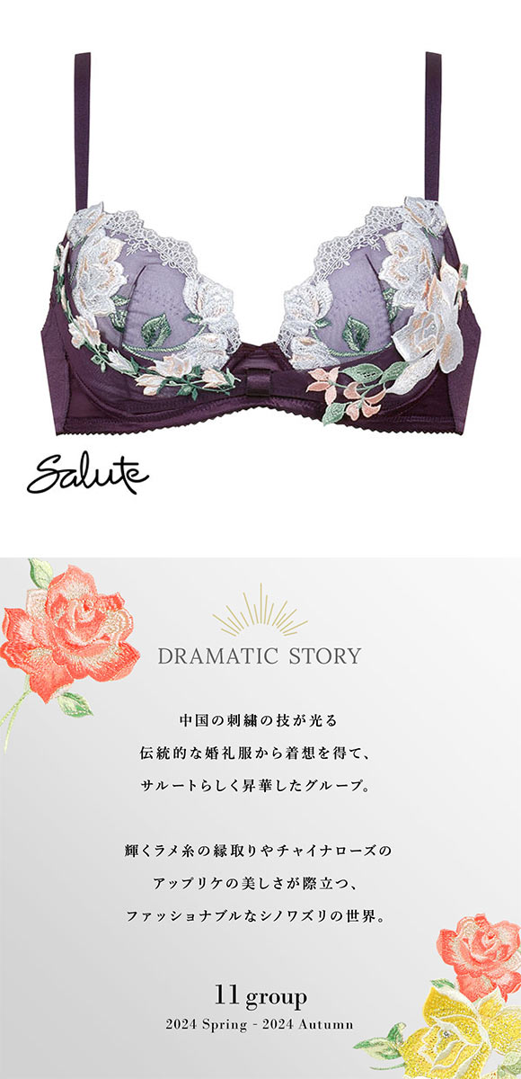 ワコール Wacoal サルート Salute 11G BTJ711 リボンブラ ブラジャー C 単品 24AW先行 コア