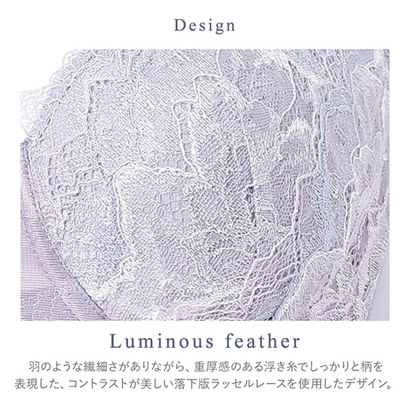 ワコール ハグするブラ コンパクトメイク BXB318 BXB418 フルカップ ブラジャー DEF 大きいサイズ グラマー Wacoal