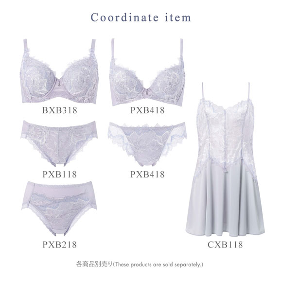 ワコール Wacoal ハグするブラ BXB418 ブラジャー ABC 単品