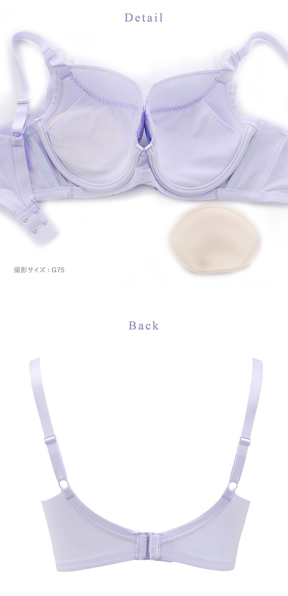 ワコール ハグするブラ BXB478 ブラジャー G Wacoal