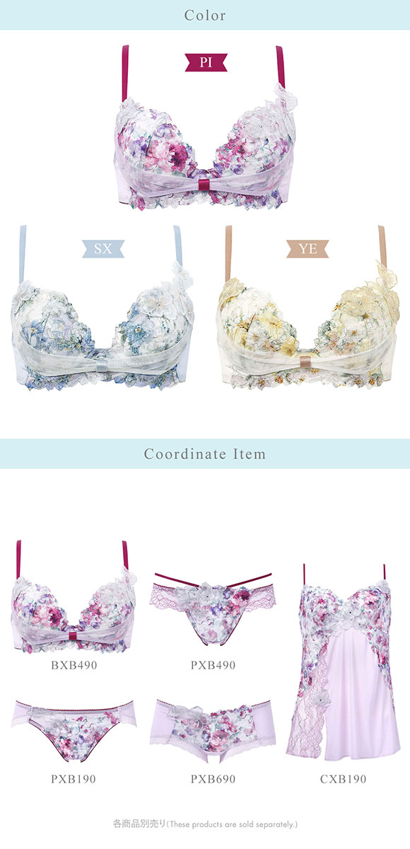 ワコール BXB490 リボンブラ 胸もとフィットながもち プレシャス ブラジャー BC Wacoal