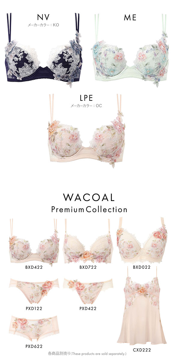 ワコール パーソナルフィットプラスブラ プレミアム 22series BXD422 22G 3/4カップブラジャー GHI Wacoal 大きいサイズ