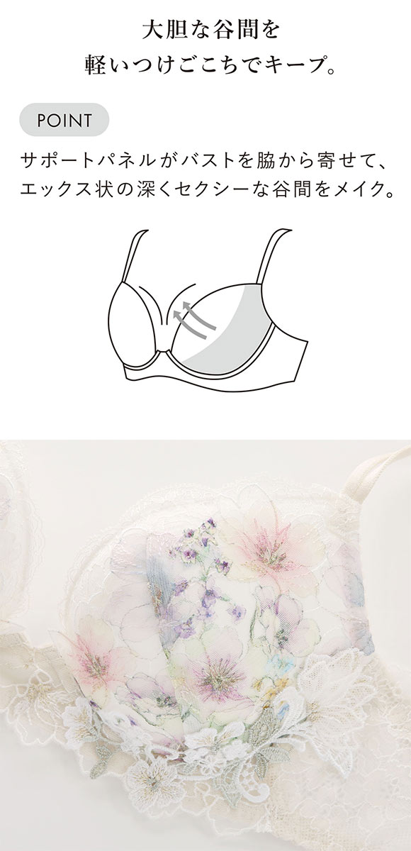 ワコール フロントエックスプラスブラ プレミアム 17series BXD717 17G 3/4カップブラジャー DEF Wacoal