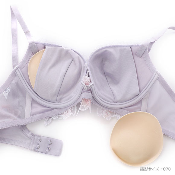 ワコール ボリューマライズブラ プレミアム 22series BXD722 22G ブラジャー DEF Wacoal