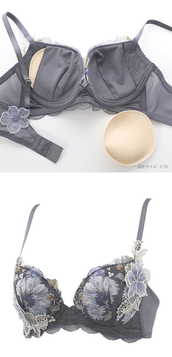 ワコール ボリューマライズブラ プレミアム 26series BXD726 26G ブラジャー DEF Wacoal
