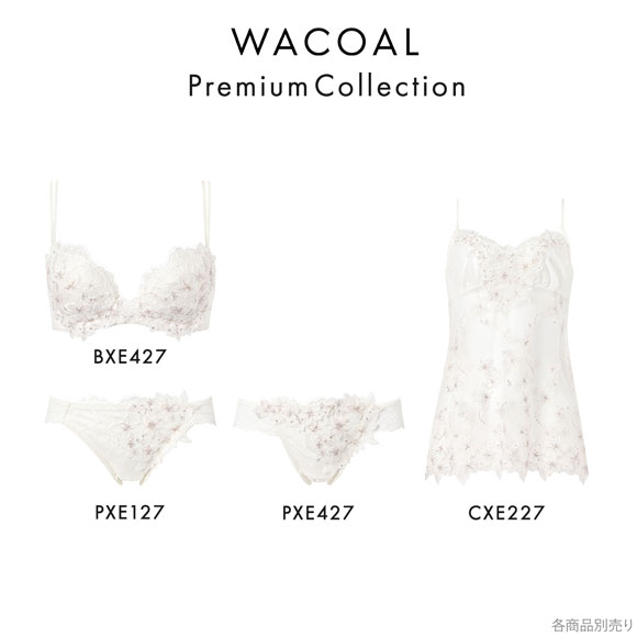 ワコール パーソナルフィットプラスブラ プレミアム 27series BXD427 27G ブラジャー C Wacoal