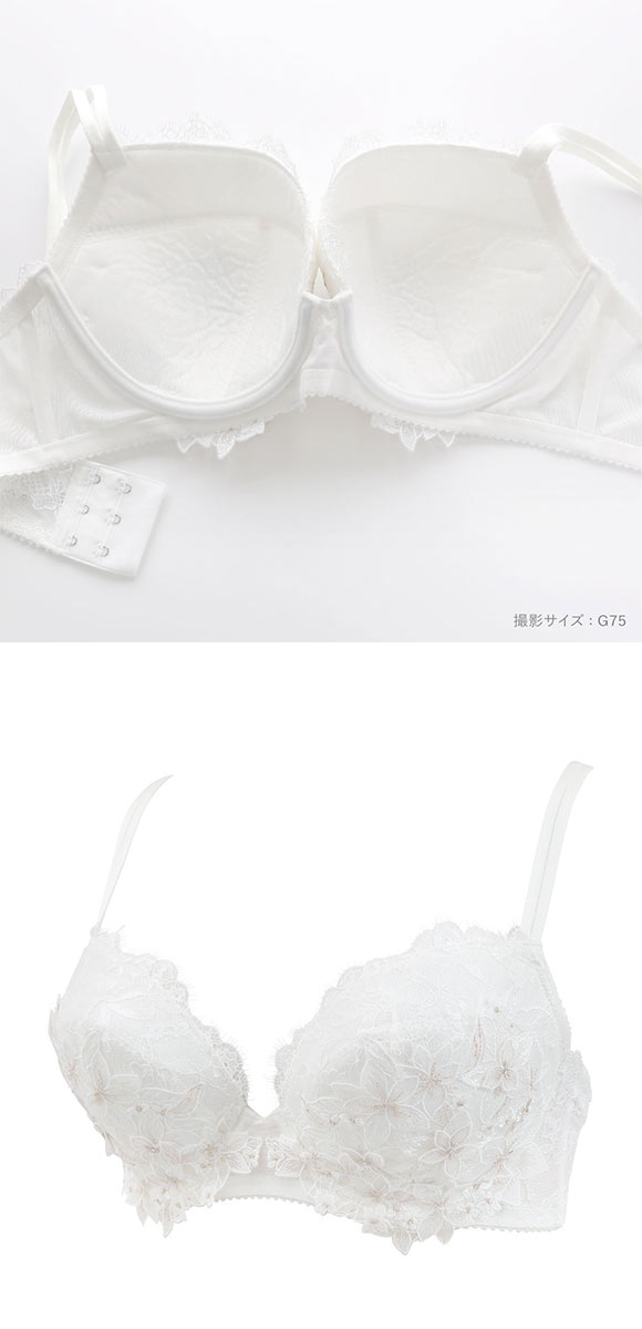 ワコール パーソナルフィットプラスブラ プレミアム 27series BXD427 27G ブラジャー G グラマー 大きいサイズ Wacoal