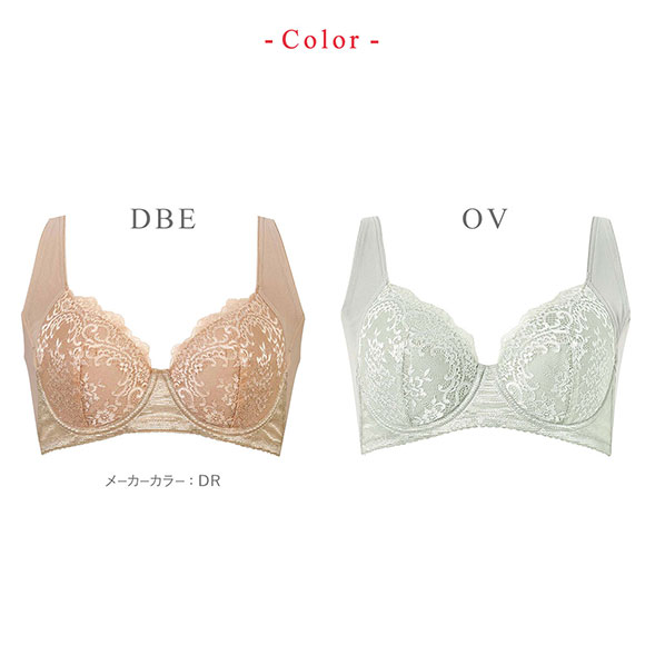 ワコール Wacoal ウイング Wing 脇高 脇胸から背中まですっきりスムージング ブラジャー 3/4カップ E NB2724 単品