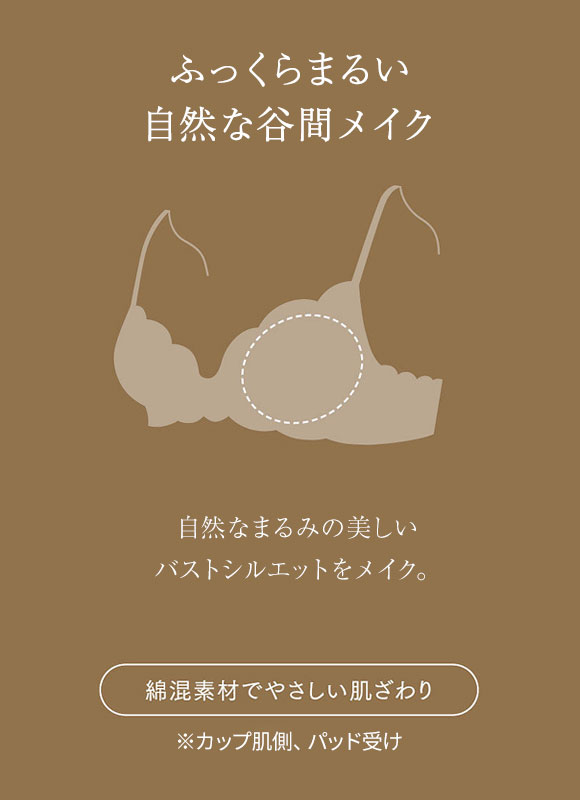 ウイング レシアージュ 2120シリーズ ブラジャー DEF ふっくらまるい自然な谷間 Wing Lesiage PB2120 25SS