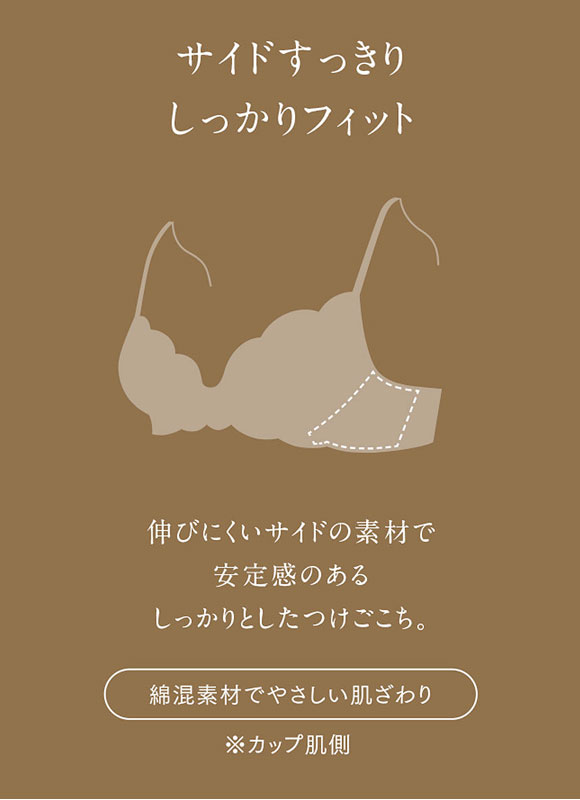 ウイング Wing レシアージュ Lesiage 23AW 2850シリーズ ブラジャー サイドすっきり BC 単品