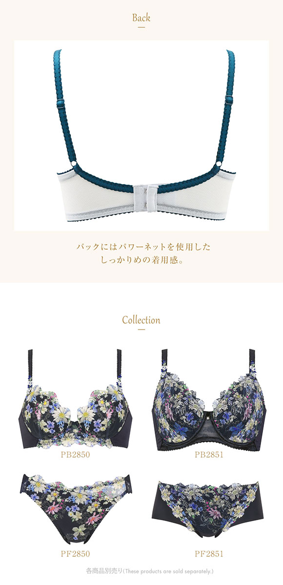 ウイング Wing レシアージュ Lesiage 23AW 2850シリーズ ブラジャー サイドすっきり BC 単品
