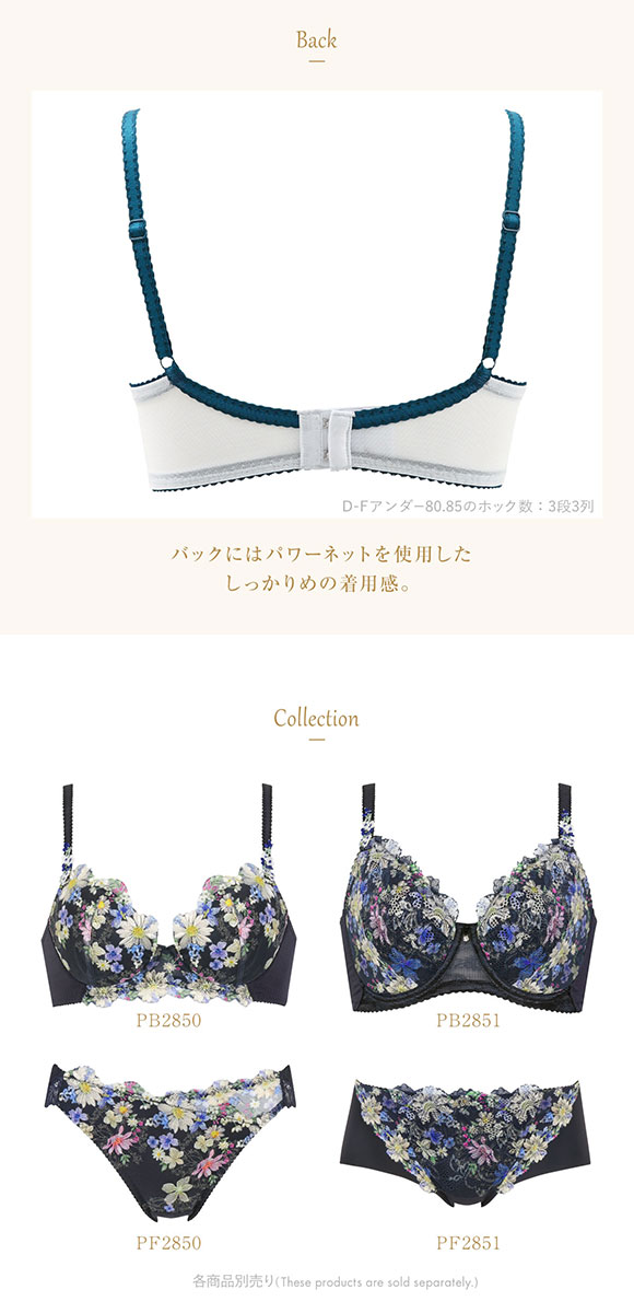 ウイング Wing レシアージュ Lesiage 23AW 2850シリーズ ブラジャー サイドすっきり DEF 単品