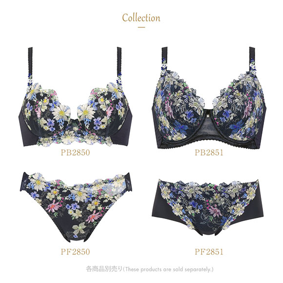 ウイング Wing レシアージュ Lesiage 23AW 2850シリーズ ブラジャー サイドすっきり G 単品