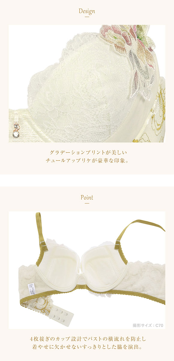 ウイング Wing レシアージュ Lesiage 23AW 2860シリーズ ブラジャー DEF 脇すっきり 着やせ 単品
