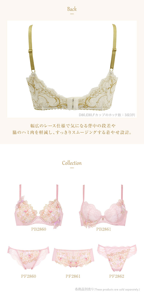 ウイング Wing レシアージュ Lesiage 23AW 2860シリーズ ブラジャー DEF 脇すっきり 着やせ 単品