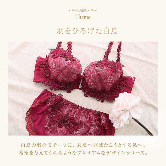 ウイング Wing レシアージュ Lesiage 23AW 2880シリーズ ブラジャー ふっくらまる胸 DEF 単品
