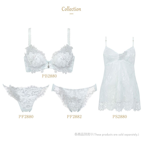 ウイング Wing レシアージュ Lesiage 23AW 2880シリーズ ブラジャー ふっくらまる胸 DEF 単品