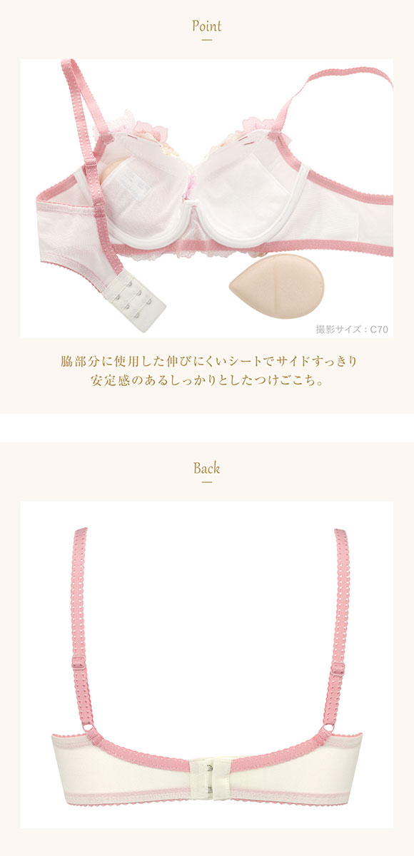 ウイング Wing レシアージュ Lesiage 2900シリーズ ブラジャー BC サイドすっきりしっかりフィット PB2900 単品 24SS