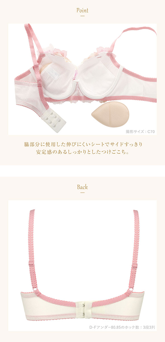 ウイング Wing レシアージュ Lesiage 2900シリーズ ブラジャー DEF サイドすっきりしっかりフィット PB2900 単品 24SS