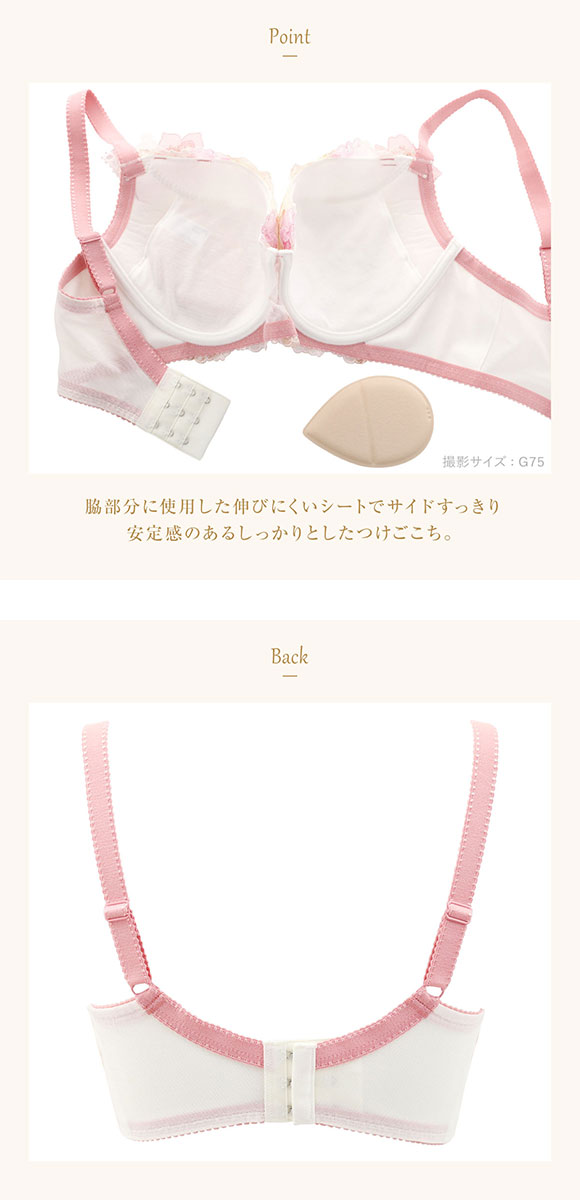 ウイング Wing レシアージュ Lesiage 2900シリーズ ブラジャー G サイドすっきりしっかりフィット PB2900 単品 大きいサイズ 24SS