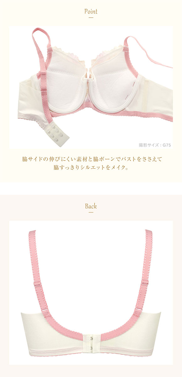 ウイング Wing レシアージュ Lesiage 2900シリーズ 小さく見せる フルカップブラジャー G PB2901単品 大きいサイズ 24SS