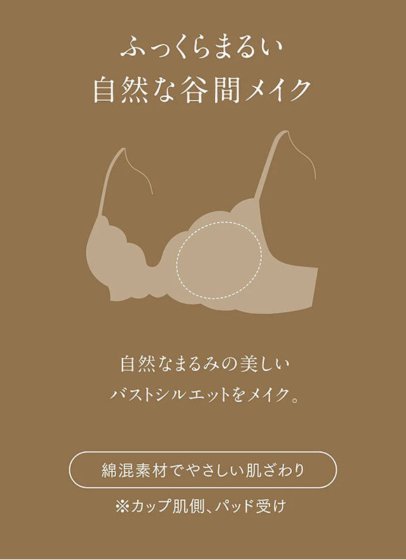 ウイング Wing レシアージュ Lesiage 24AW 2960シリーズ ブラジャー DEF ふっくらまるい自然な谷間をメイク PB2960 単品