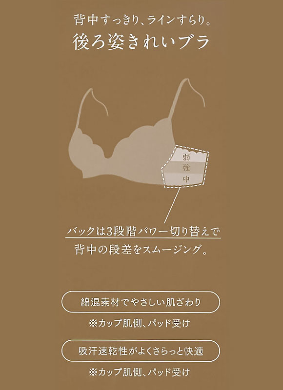 ウイング レシアージュ 4010シリーズ 後ろ姿きれいブラ ブラジャー DEF 脇すっきり 胸ふっくら 脇高 Wing Lesiage PB4010