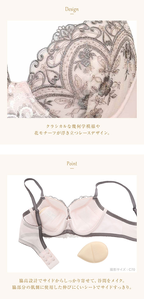 ウイング レシアージュ ブラジャー 3/4カップ BC サイドすっきり Wing Lesiage 6000G