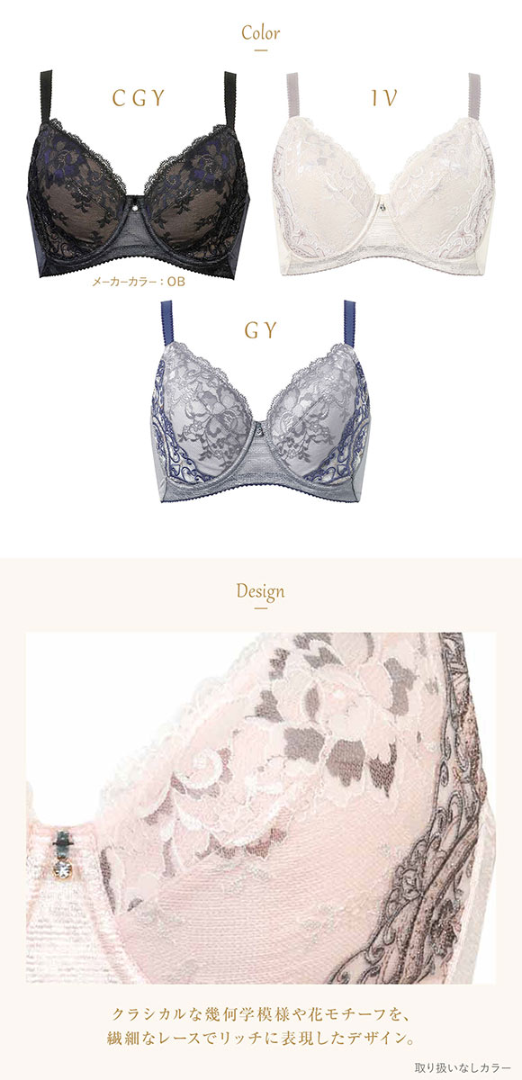 ウイング レシアージュ 小さく見せる フルカップブラジャー DEF Wing Lesiage 6000G