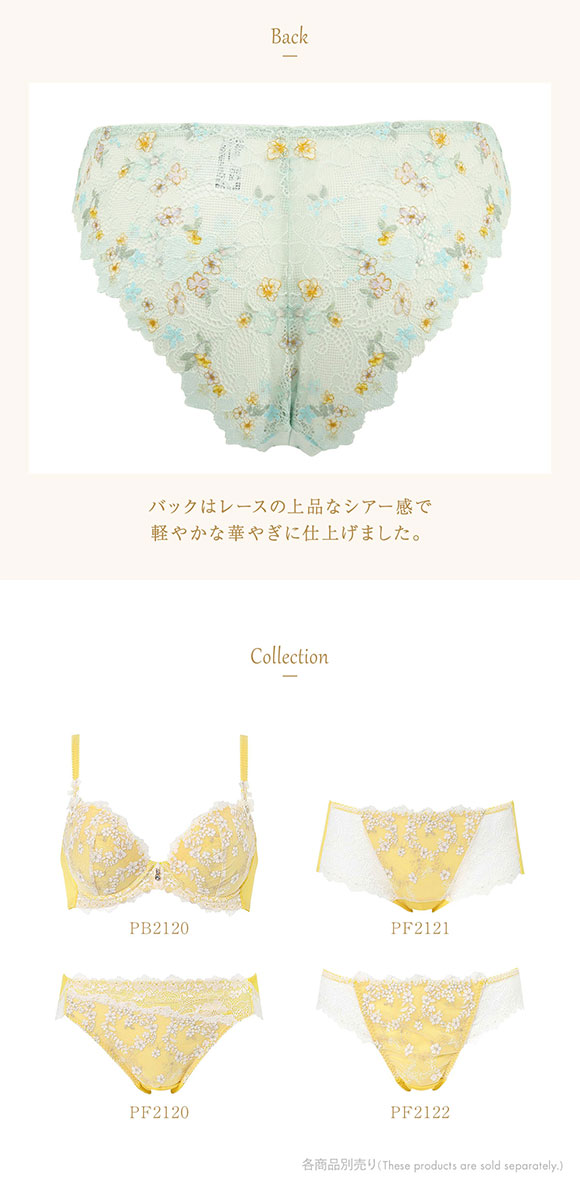 ウイング レシアージュ 2120シリーズ ショーツ M Tバック ソング バックレース Wing Lesiage 25SS