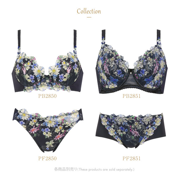 ウイング Wing レシアージュ Lesiage 23AW 2850シリーズ ショーツ ひびきにくい ラインレス ML 単品