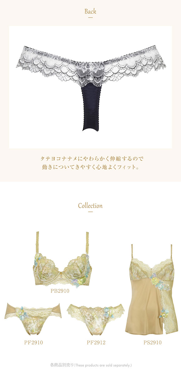 ウイング Wing レシアージュ Lesiage 24SS 2910シリーズ ショーツ Tバック ソング ローライズ 単品