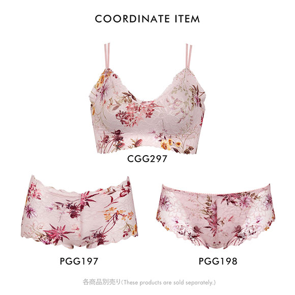 ワコール Wacoal ゴコチ GOCOCi PGG197 CGG297 ノーマルショーツ ビキニ 総レース LL 単品