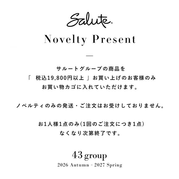 【対象商品をご購入のお客様以外にはお送りできません】ワコール サルート ノベルティ ヘアバンド＆リストバンド Wacoal Salute