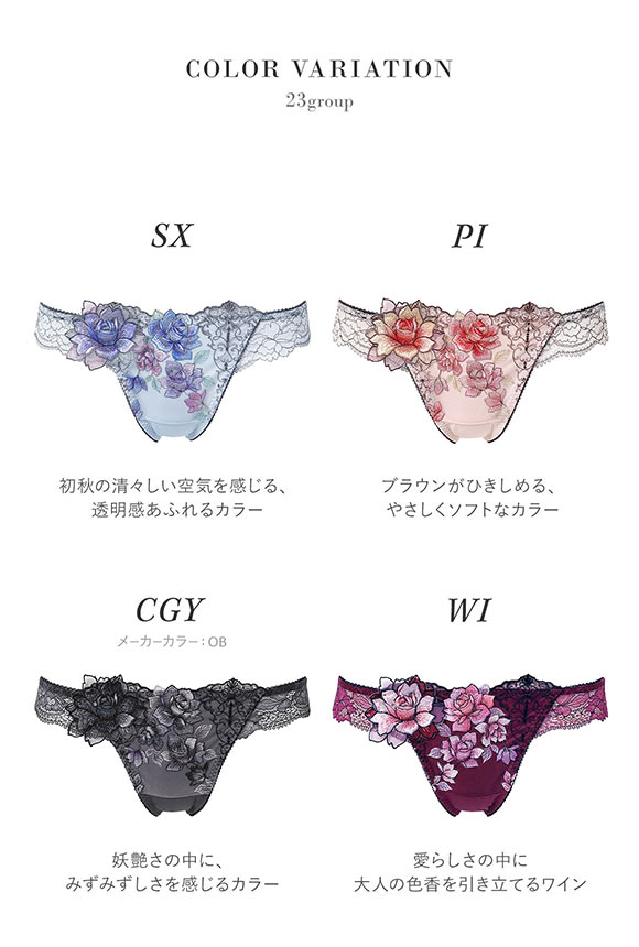 ワコール サルート 23グループ 23G Tバックショーツ ML ソング バックレース Wacoal Salute PTJ423 25AWフェア