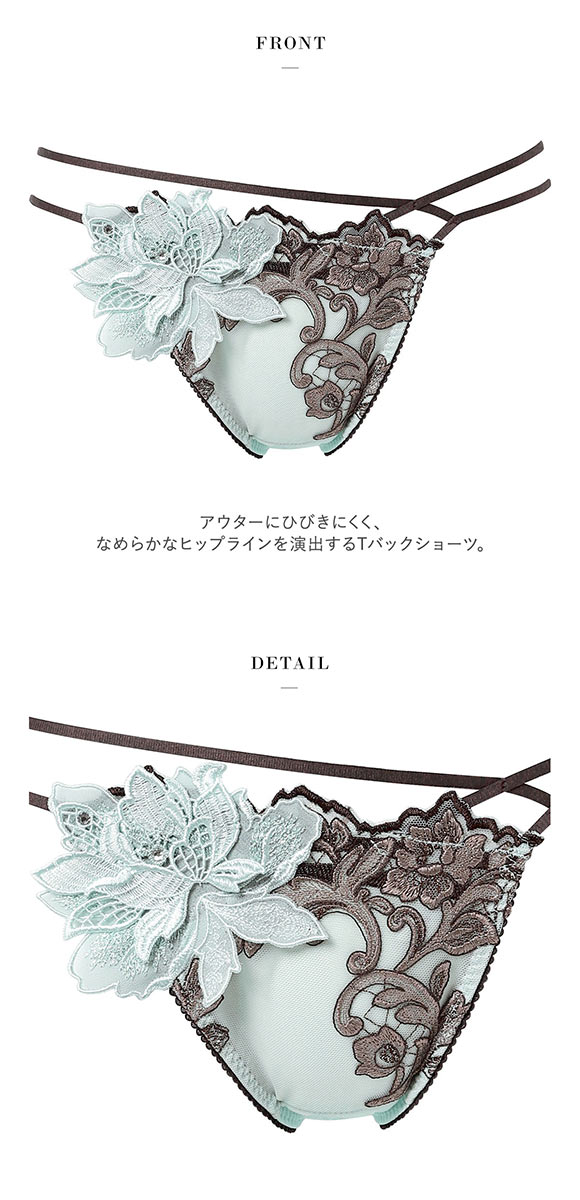 ワコール サルート 32グループ 32G Tバックショーツ ソング タンガ M L Wacoal Salute PTJ432 26SS先行プレステージ