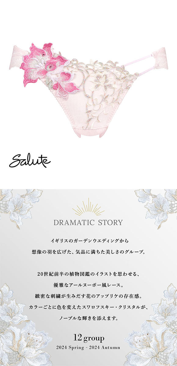 ワコール Wacoal サルート Salute 12G PTJ712 ショーツ ML ハイレッグ 単品 24AW先行 プレステージ