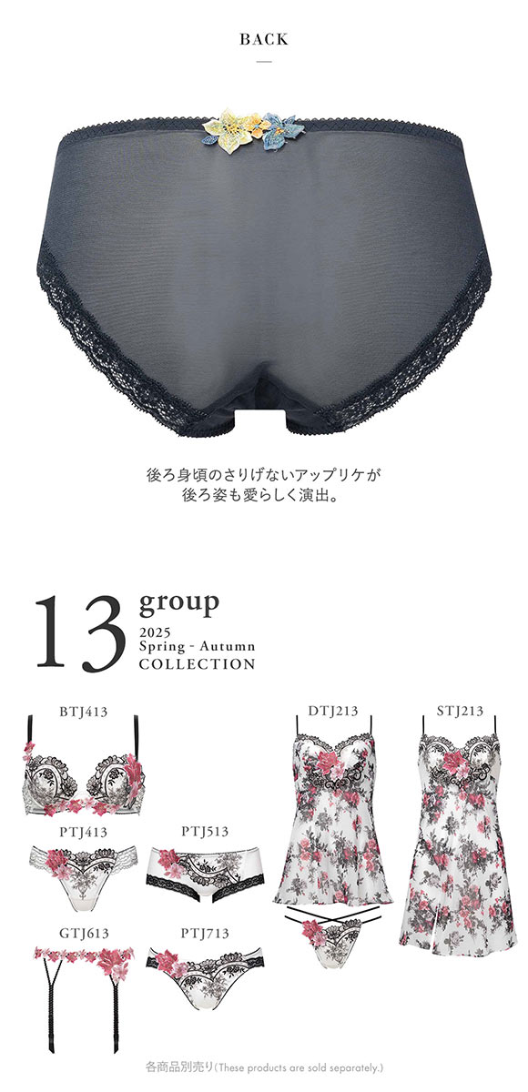 ワコール サルート 13グループ 13G ショーツ LL ハイレッグ 大きいサイズ Wacoal Salute PTJ713 25SSフェア