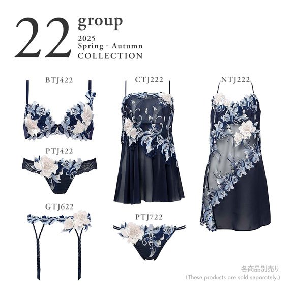 ワコール サルート 22グループ 22G ショーツ スタンダード LL ハイレッグ バックレース Wacoal Salute PTJ722 25AW先行プレステージ