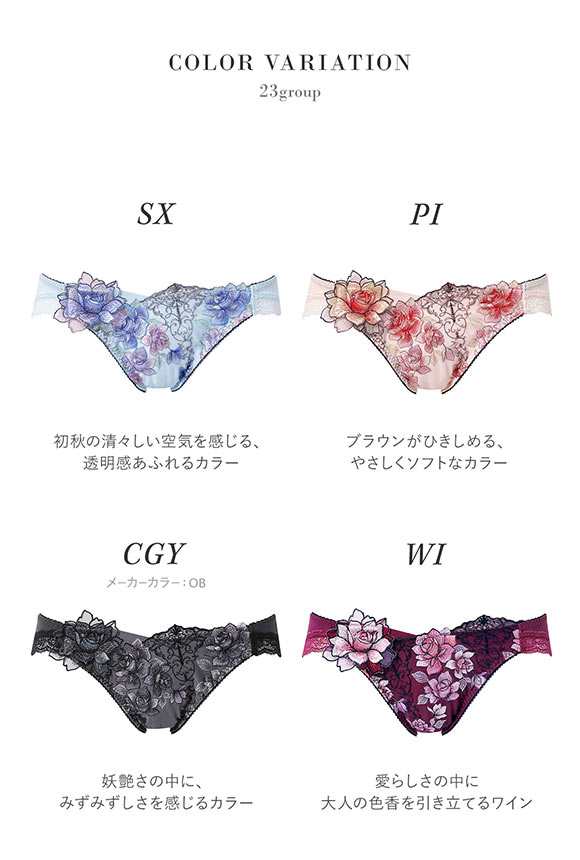 ワコール サルート 23グループ 23G ショーツ ML ハイレッグ Wacoal Salute PTJ723 25AWフェア