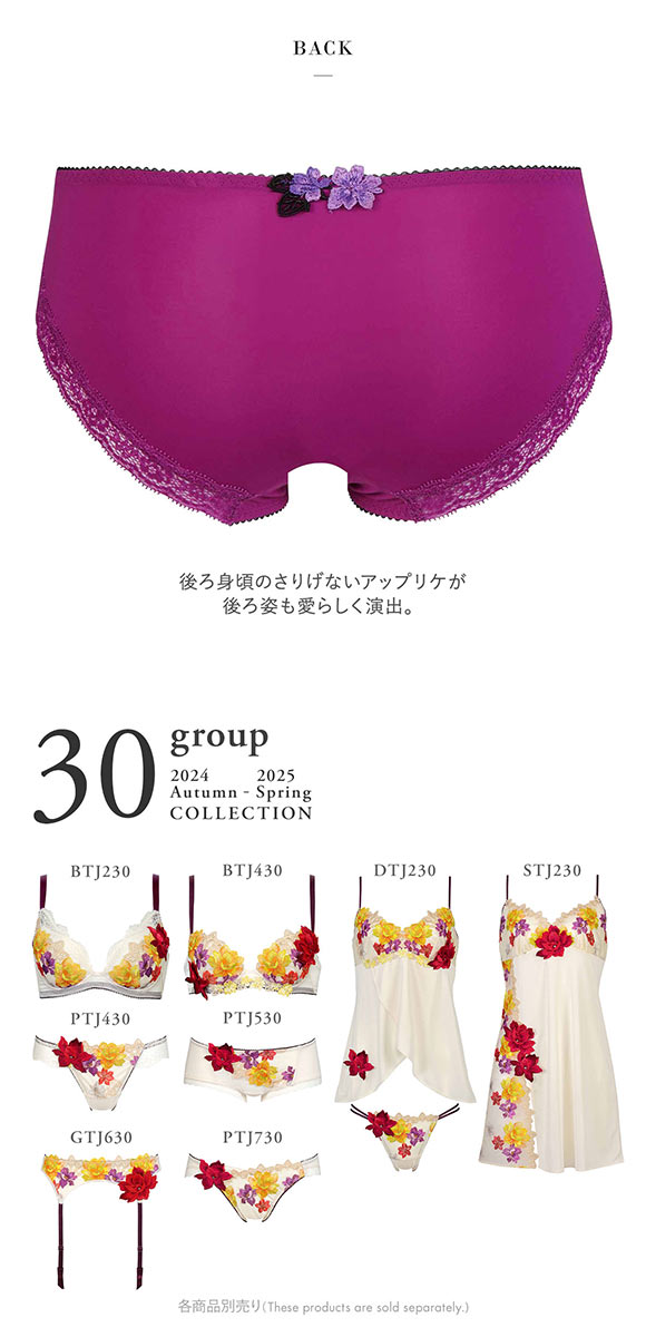 ワコール Wacoal サルート Salute 30G ショーツ ML ハイレッグ 下着 単品 PTJ730 24AW フェア