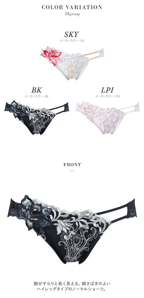 ワコール サルート 38グループ 38G ショーツ スタンダード LL 大きいサイズ ハイレッグ Wacoal Salute PTJ738 26SSブライト