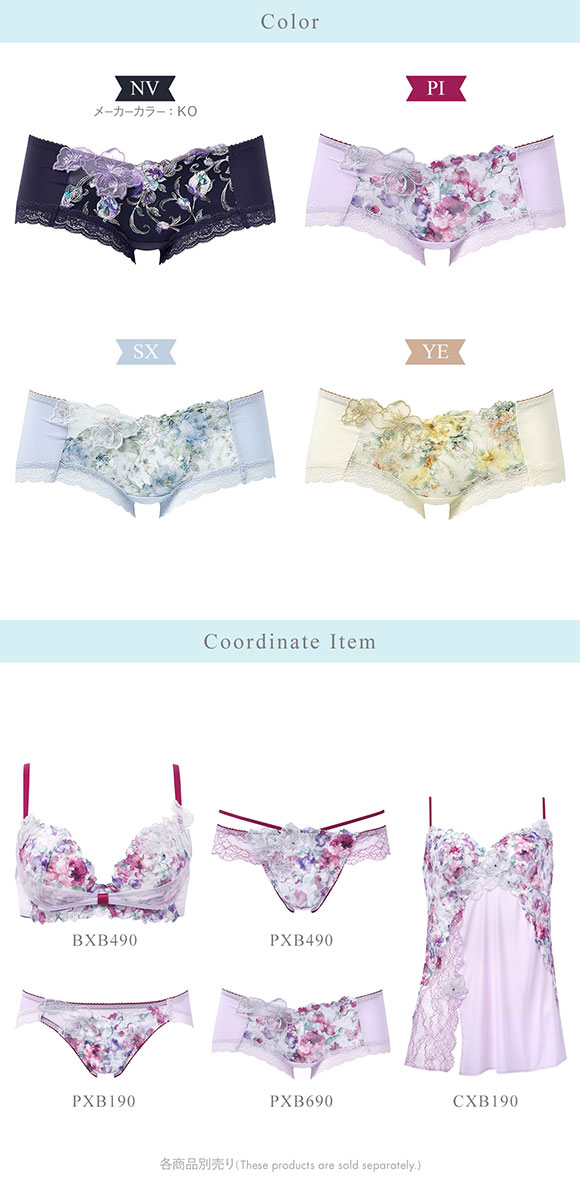 ワコール BXB490 PXB690 リボンブラ 胸もとフィットながもち プレシャス ショーツ ボーイレングス ローライズ ML Wacoal