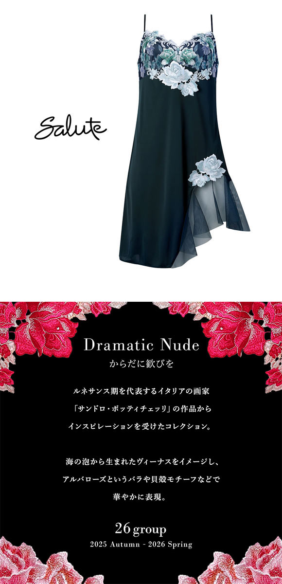 ワコール サルート 26グループ 26G スリップ ランジェリー ML Wacoal Salute STJ226 25AWシーズン