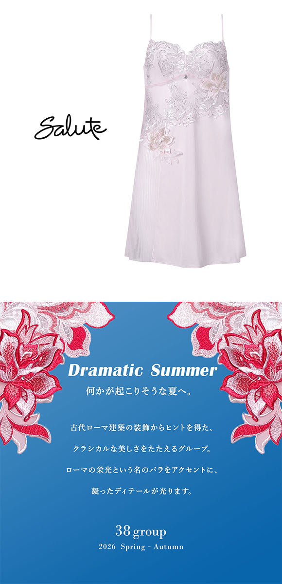 ワコール サルート 38グループ 38G スリップ ランジェリー ML スタンダードシルエット Wacoal Salute STJ238 26SSブライト