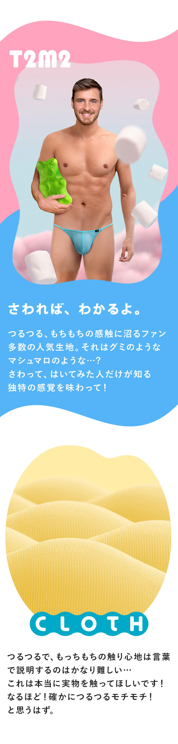 ティーエム コレクション TM collection × SHIROHATO コラボ NewT2M2 つるモチもっこり シャープハーフバック ビキニ M L LL えちパン メンズ