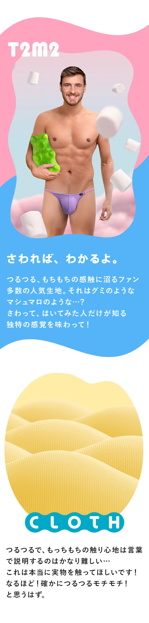 ティーエム コレクション TM collection × SHIROHATO コラボ NewT2M2 つるモチもっこり シャープTバック ビキニ M L LL えちパン メンズ